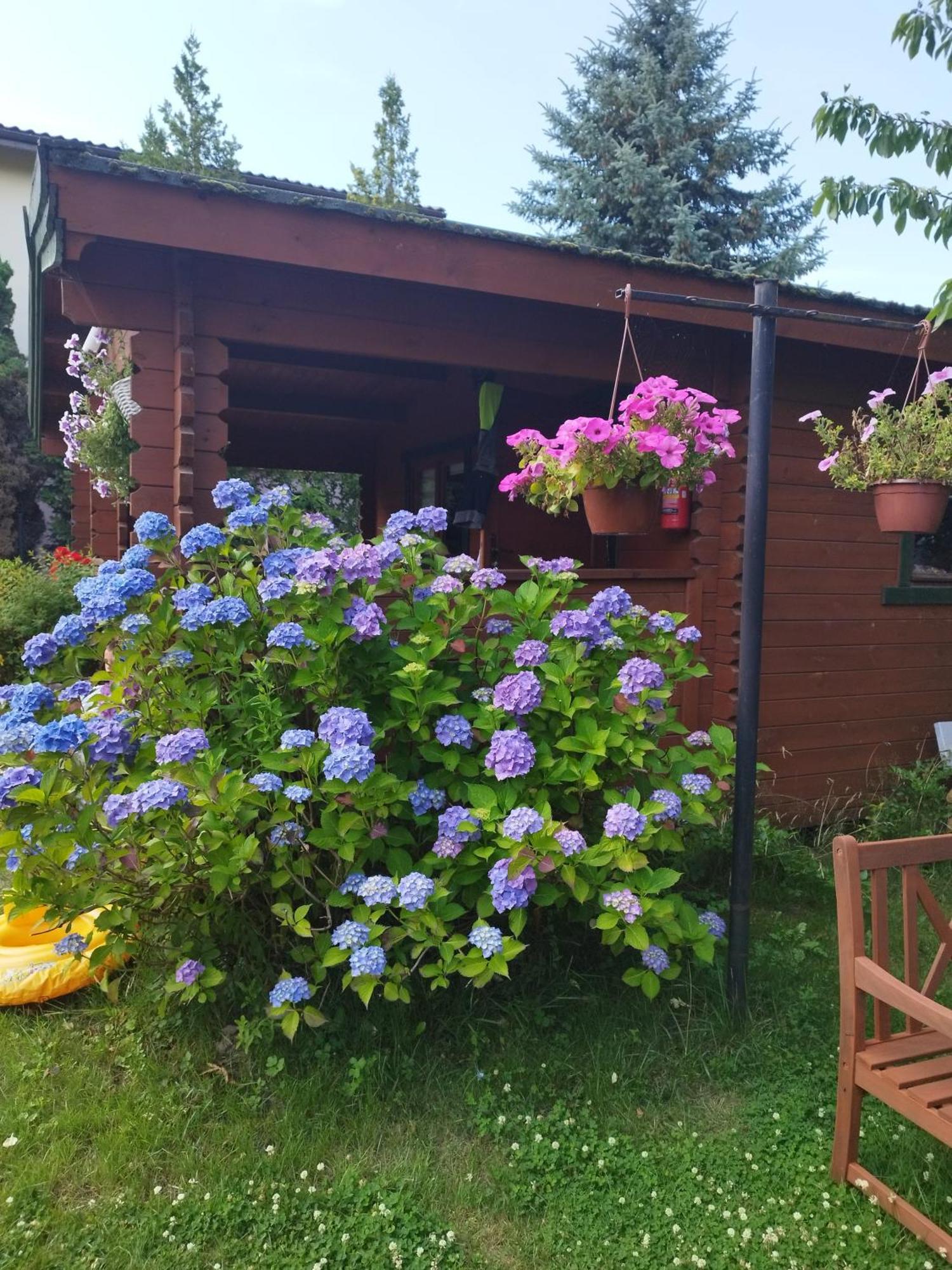 Szyper Pokoje Władysławowo Exterior foto